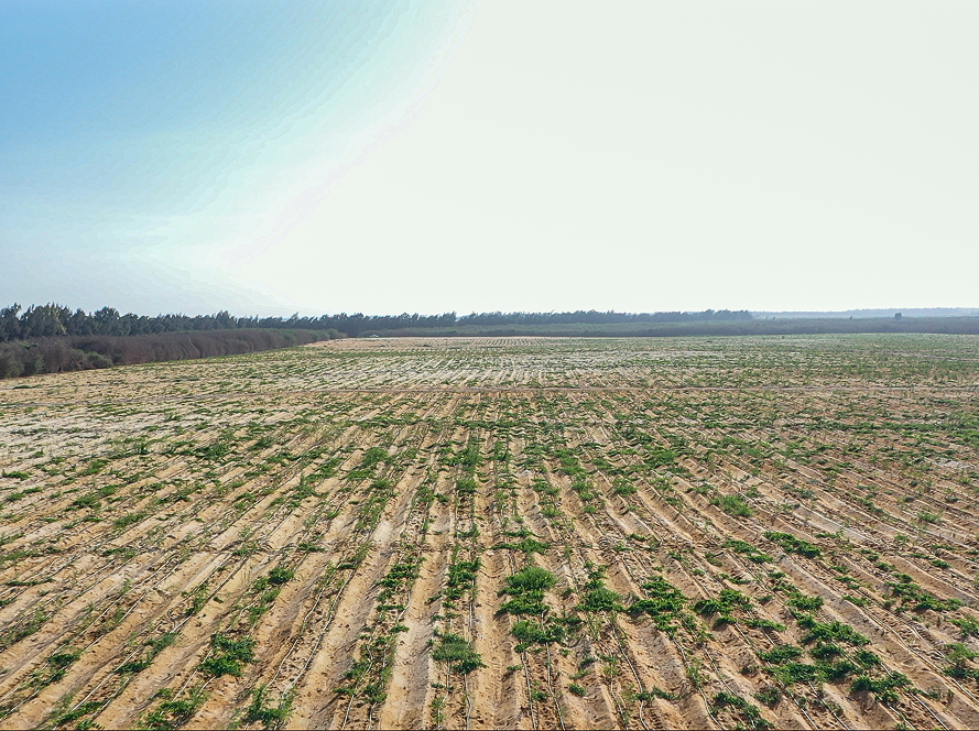 Corporate Social Responsibility