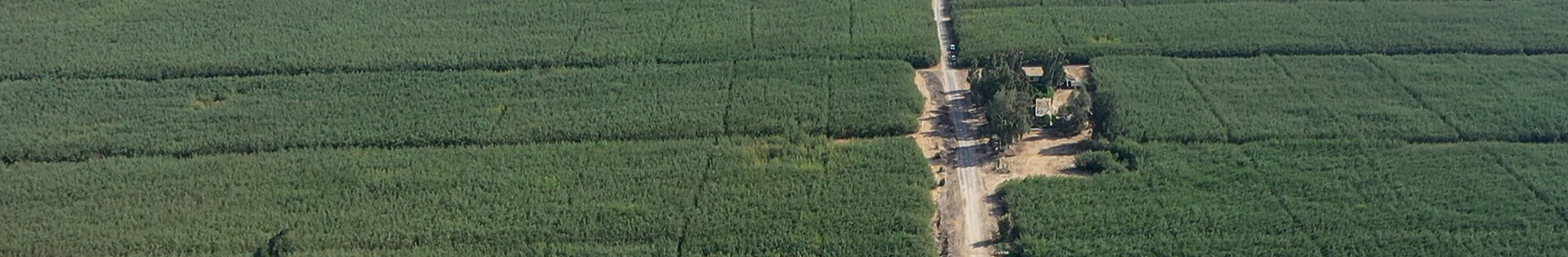 Environmental & Social Governance