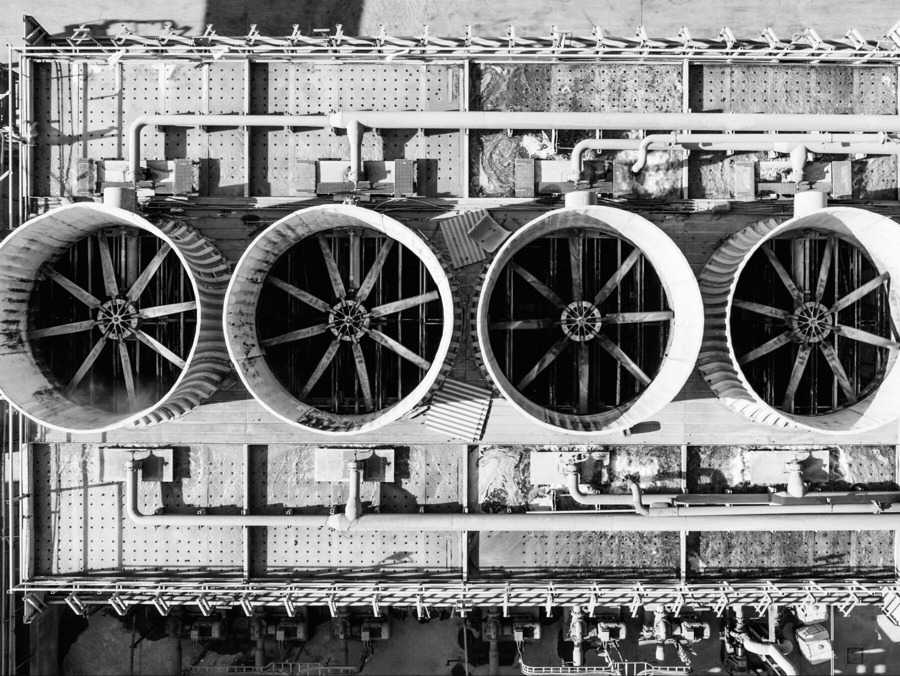 Integrity & Transparency